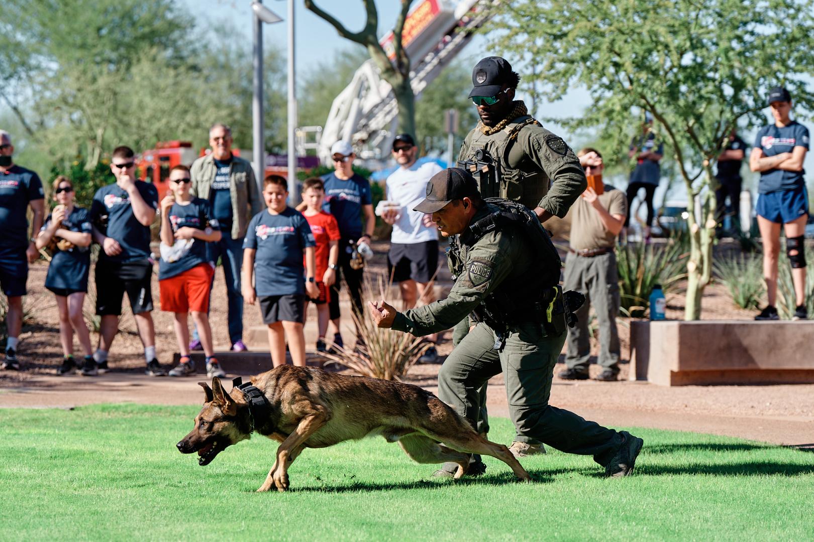 Avondale Police Dog demonstration