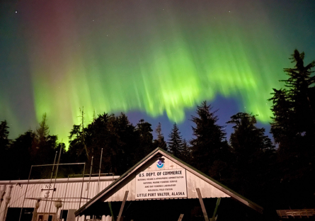 Photo of northern lights in the sky above NOAA’s Little Port Walter Research Station