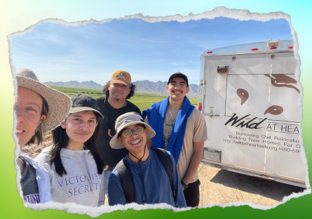 Mountain Lions Help Build Homes for Burrowing Owls